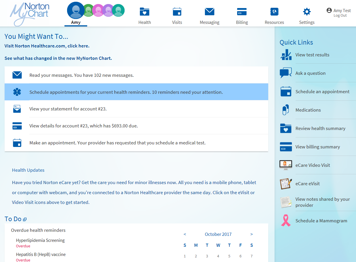 MyNorton Chart log in